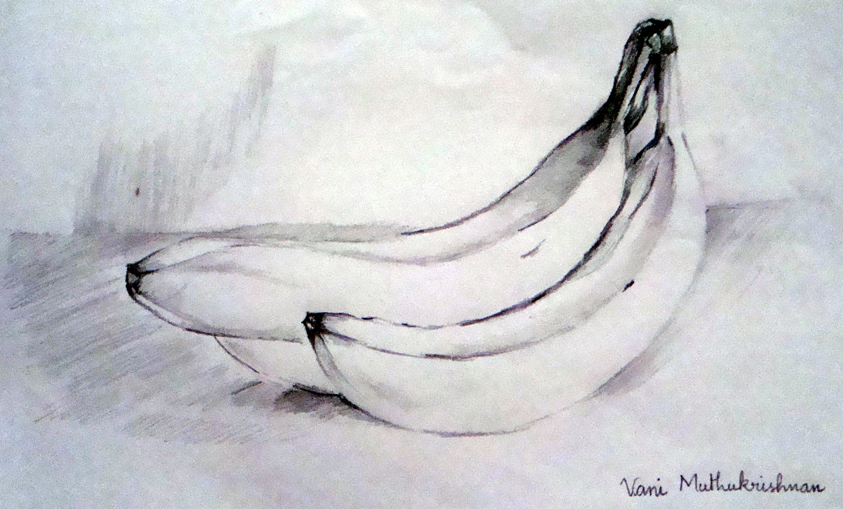 Vegetables Pencil Draw Sketch - Successful Drawing - Joshua Nava Arts