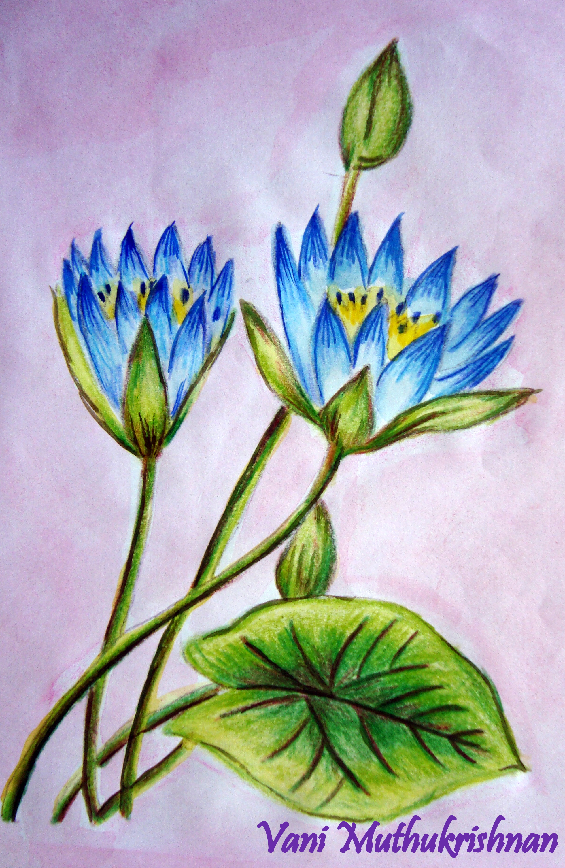 Featured image of post Shading Flowers With Colored Pencil : Colored pencil step by step: